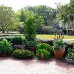 How to Plant in Garden Containers