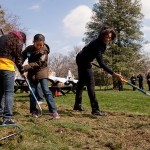 How to Dig in Your Garden