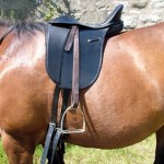 How to Developing a Good Position in the Saddle 