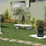 How to Grow Trees in a Small Garden