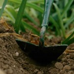 How to Use a Hoe in Your Garden