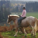 How to Improve Transitions in Horse Riding