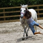 How to Reduce the Risks of Horse Riding Injuries