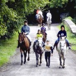 How to Prepare for Horse Riding Lessons 