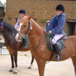 How to Enter Cross-Country Schooling in Horse Riding