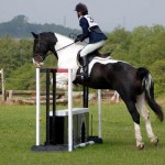 How to Participate in Eventing and Hunter Trials