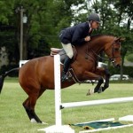 How to Jump Your Horse