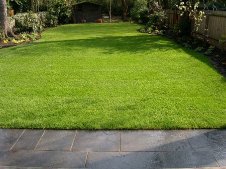 How to Choose and Use a New Lawn in Your
