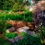 How to Prune Your Garden