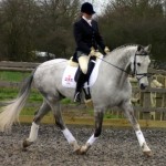 How to Get Better Balance While Riding a Horse