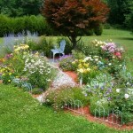 How to Site Plants in Your Garden
