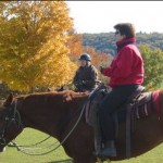 How to Build a Solid Relationship with Your Horse