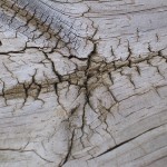 How to Repair Holes and Cracks in Wood