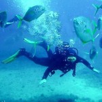 How to Become a Deep Sea Diver