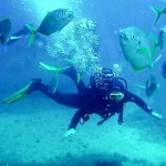 How to Become a Deep Sea Diver 