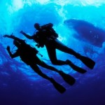 How to Know if You Are Fit to Dive