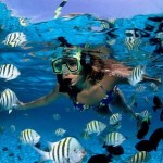 How to Dive in the Caribbean