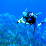 How to Plan a Diving Trip