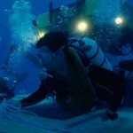How to Examine Underwater Creatures While Scuba Diving