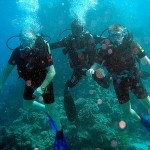 How to Build a Healthy Lifestyle as a Scuba Diver 