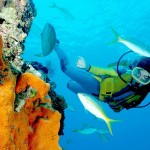 How to Choose a Mask, Fin and Snorkel for Scuba Diving