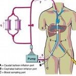 How to Help the Patient to Keep His Body Clean