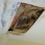 How to Repair Roof Leaks