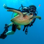 How to Establish a Scuba Diving Career