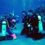 How to Learn the Basic Theory on Scuba Diving 