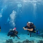 How to Handle Emergency in Scuba Diving 