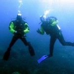 How to Dive in the Shark-Infested Waters