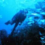 How to Choose Weights and Weightbelts for Scuba Diving 