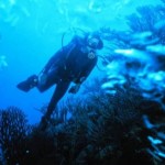 How to Choose Weights and Weightbelts for Scuba Diving