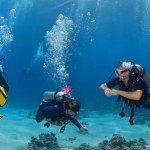 How to Choose the Right Wetsuit and Semi-Dry Suit for Scuba Diving