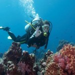 How to Clear a Mask and Mouthpiece While Diving Deep in the Ocean