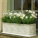 How to Set Up a Window Box 
