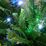 How to Buy LED garden lights