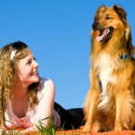 How to Teach Your Dog to Sit