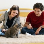 How to Get Your Cat Used to Being Handled by a Variety of People