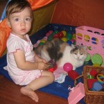 How to Introduce a Cat to Babies