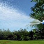 How to Make your Own Soap Spray with Pyrethrin