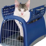 How to Train Your Cat to Travel in His Carrier in the Car