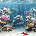 How to Check Aquarium Water