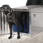 How to Ship Your Dog in Cargo Section