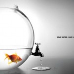 How to Save Water