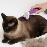 How to Mininise your Cats from Hair Shedding