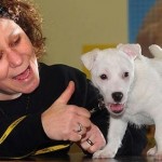 How to Take Care a Deaf Dog