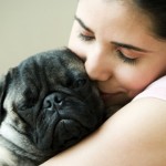 How to Treat a Dog with Coccidiosis