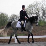 How to Train a Gaited Horse