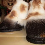 How to Trim Horse Hooves Safely
